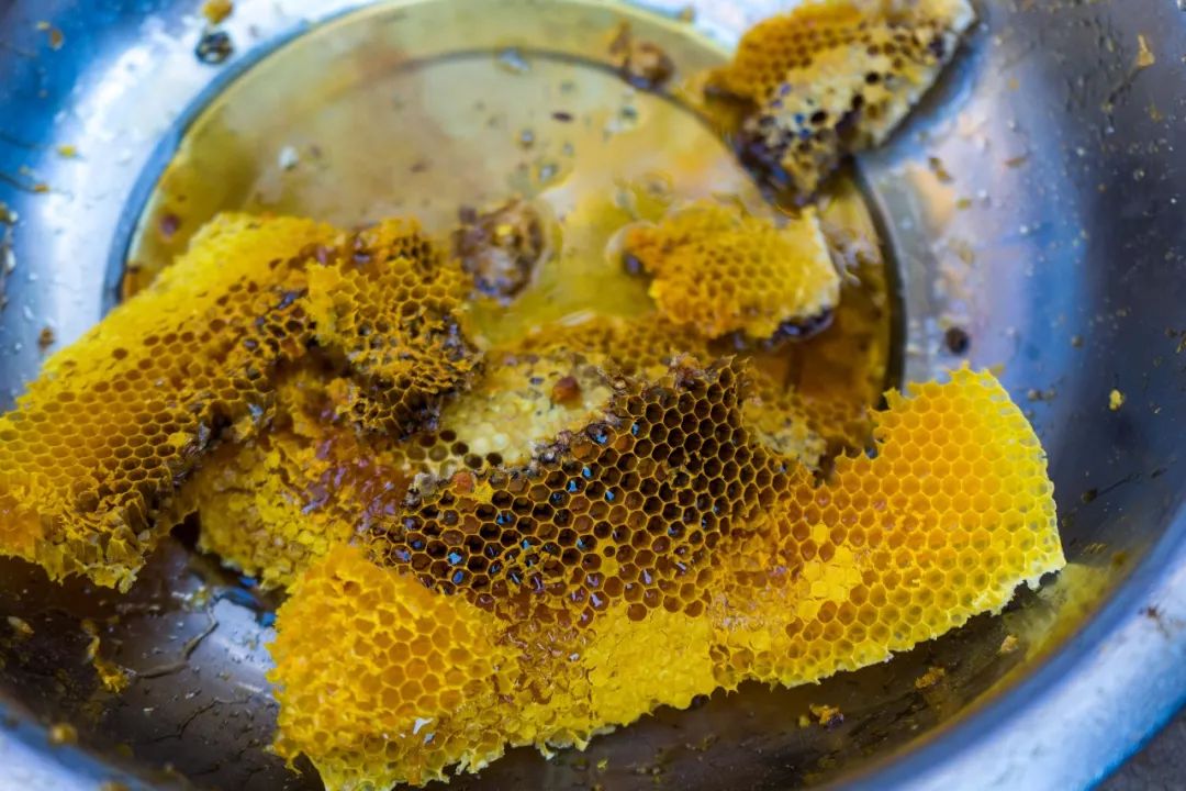 土蜂蜜取蜜全过程,土蜂蜜正确取蜜方法