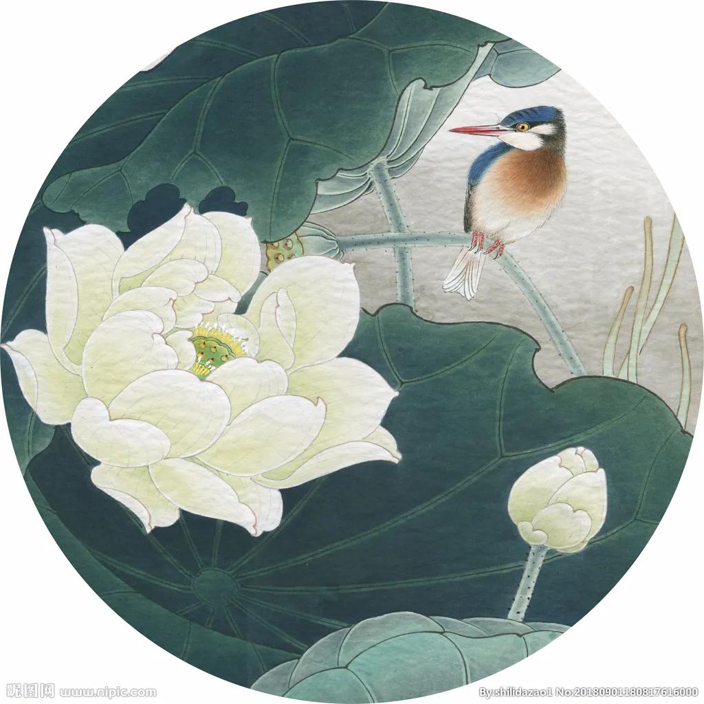 「我爱你，纳杰」致敬，纳杰最可爱的人