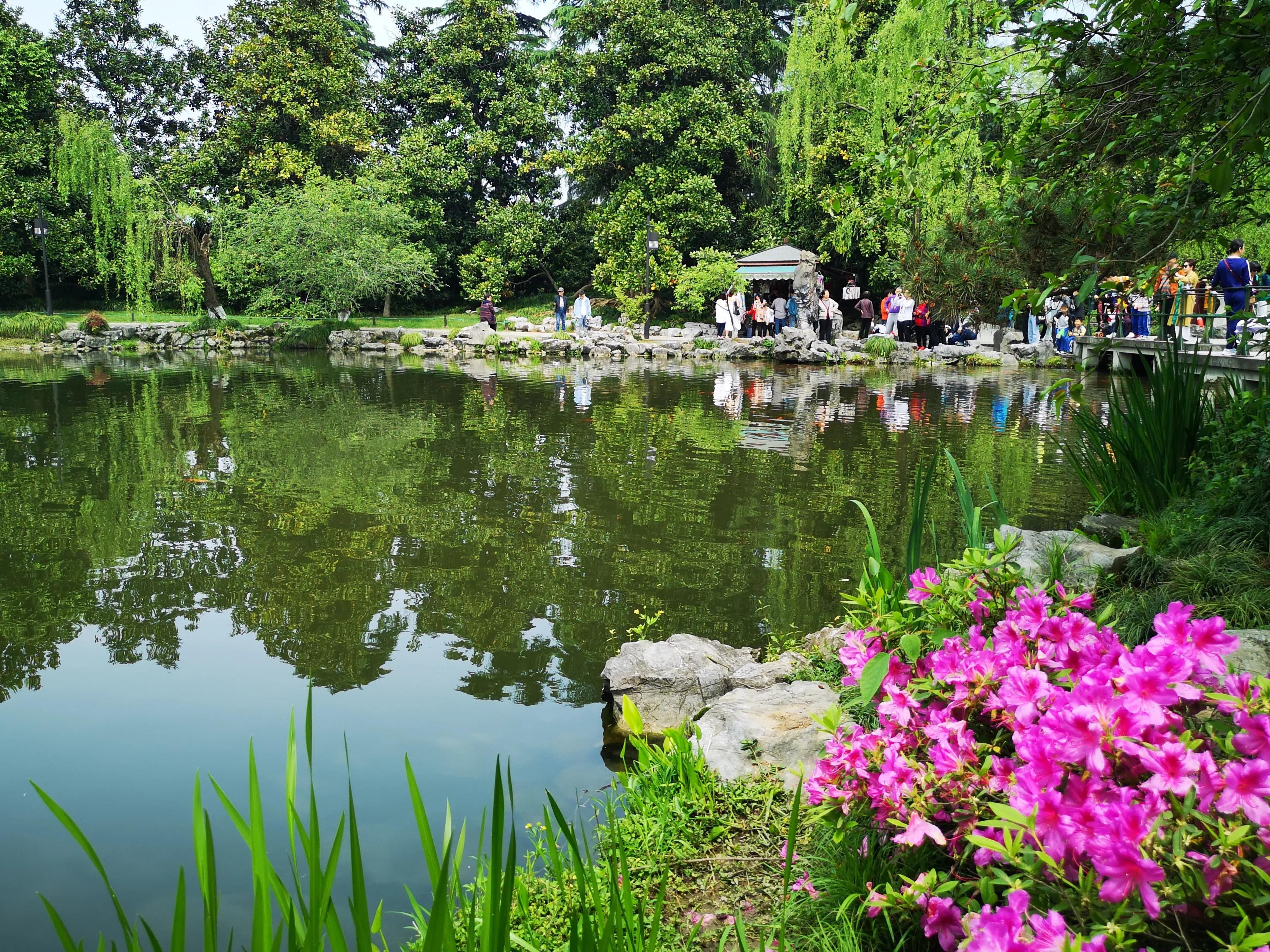杭州西湖美景抖音最火版完整版,杭州西湖美景全景