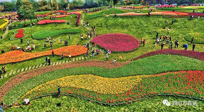 四川石象湖门票,四川景域石象湖景区