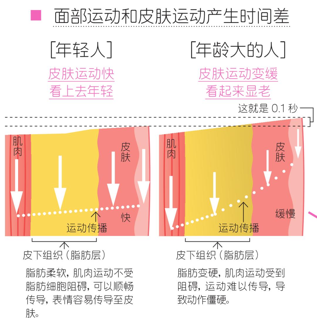 男女版审美取向图片,亚洲审美建模取向