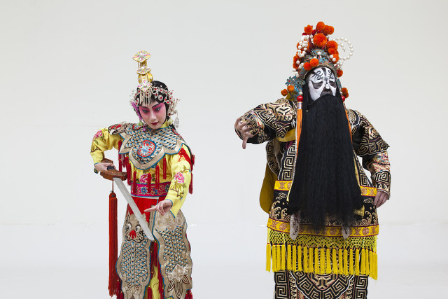 世界上最美丽的花虞美人,虞美人最美的花