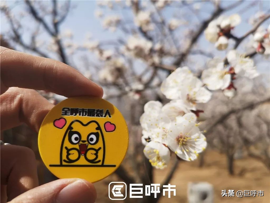 呼和浩特的人文风光图片,呼和浩特古代风景