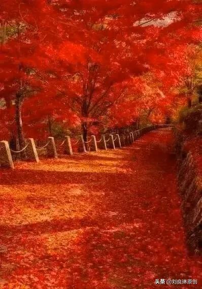 我对的对联在哪里找到,我对的对联