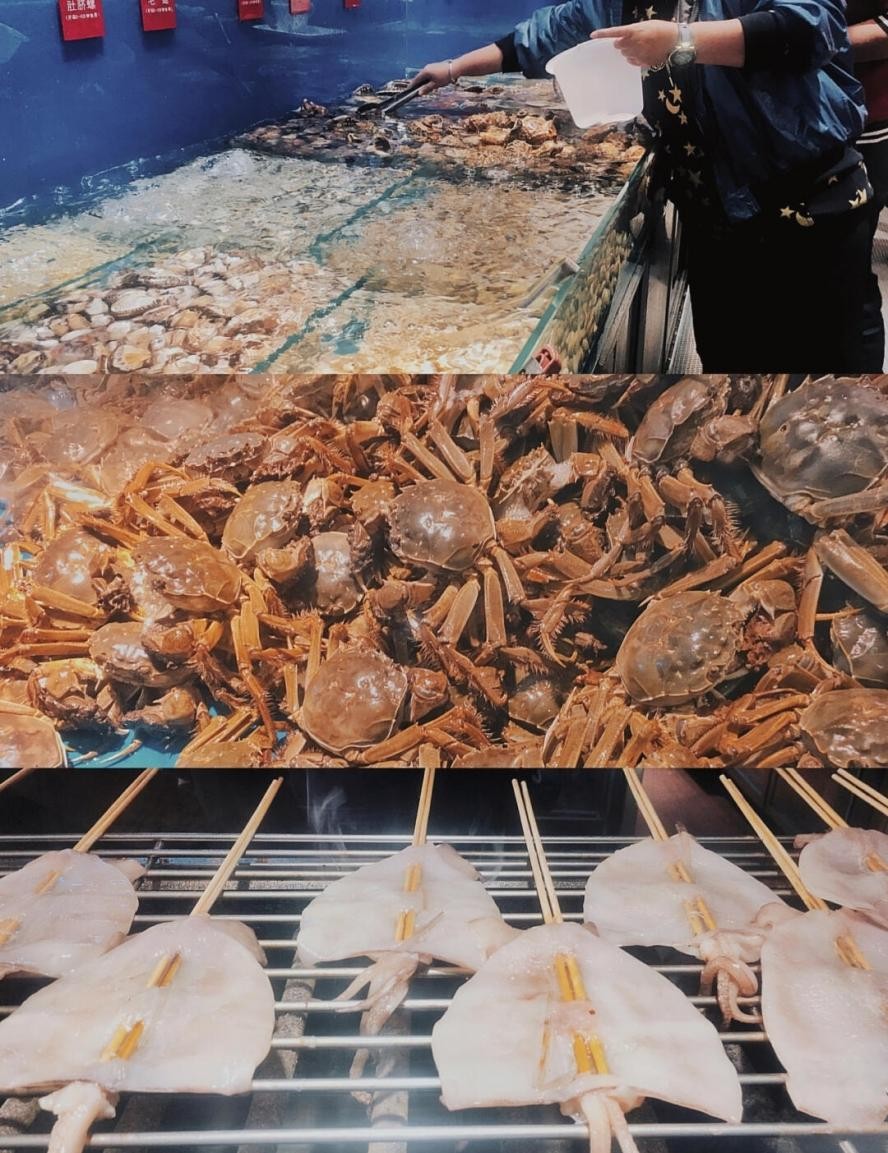 东北财经大学,一所实力不输211的老牌名校