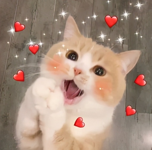 小众包穿搭推荐,高级感秋冬包推荐平价