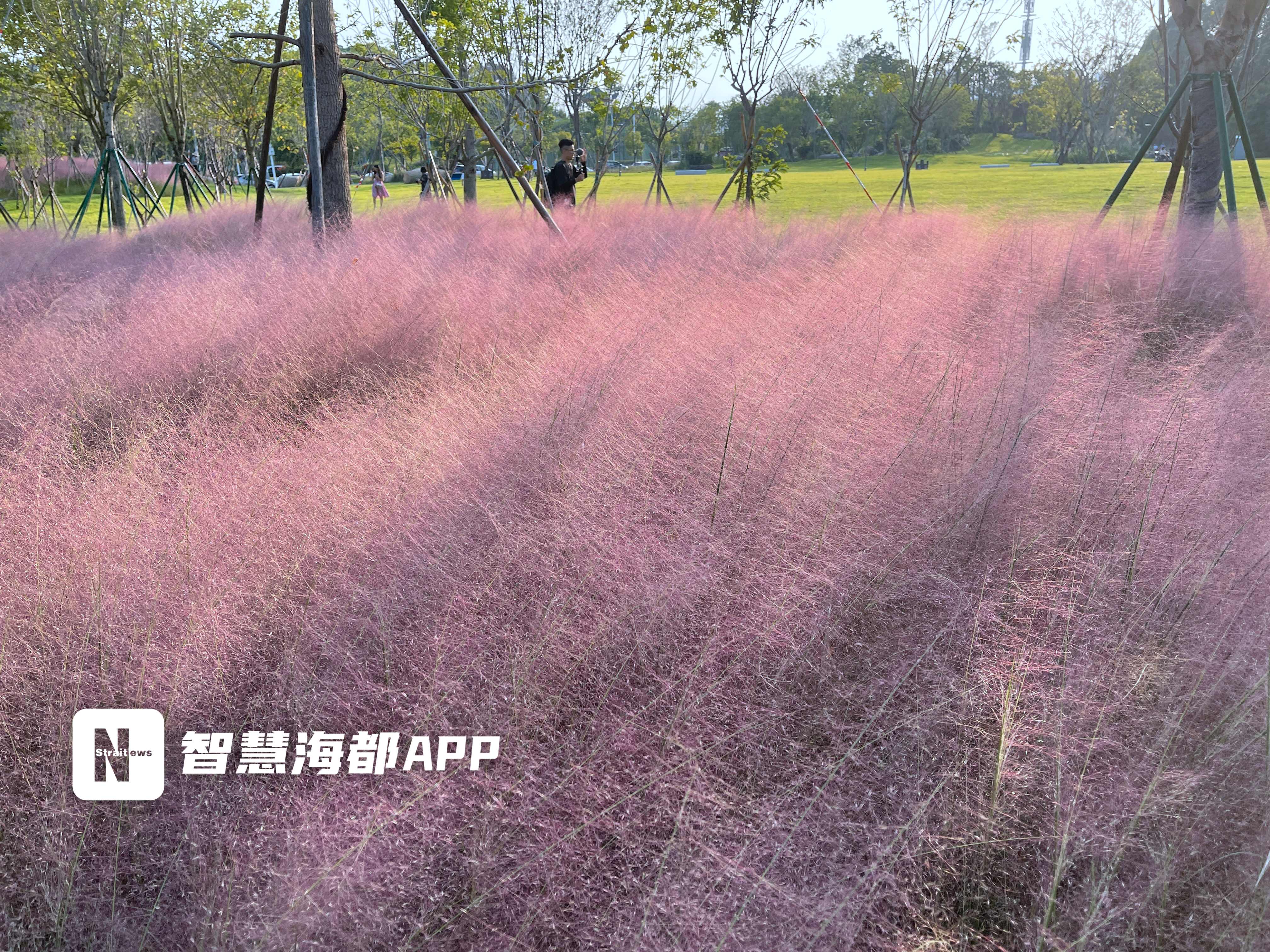 福州海丝精灵谷热气球,福州花海公园打卡网红拍照地