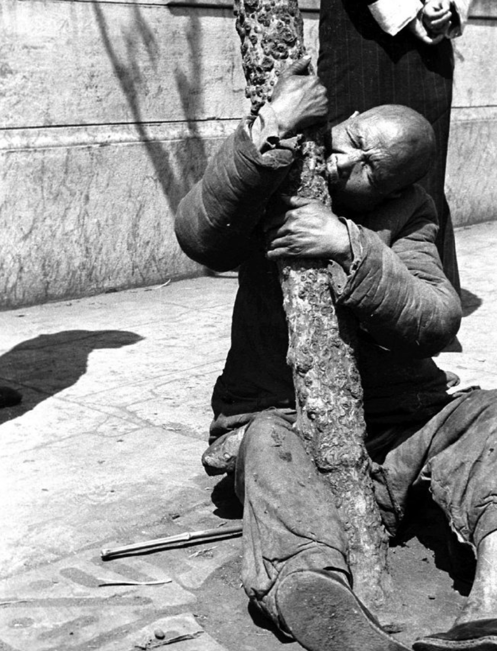 甘肃地震6.8级死亡人数现状,甘肃地震已致86人遇难新闻评价