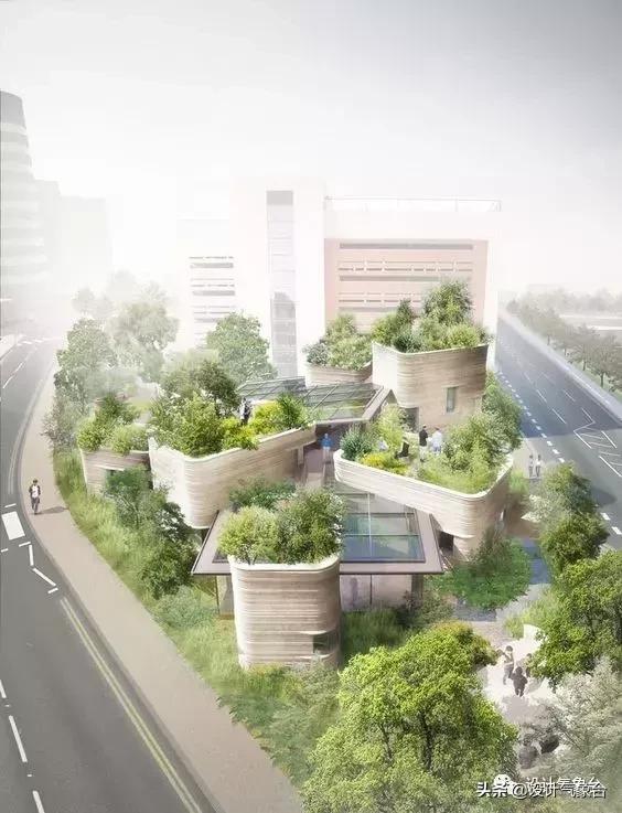 鐪熷疄楦熺灠鍥緋s,楦熺灠鍥剧礌鏉恜sd