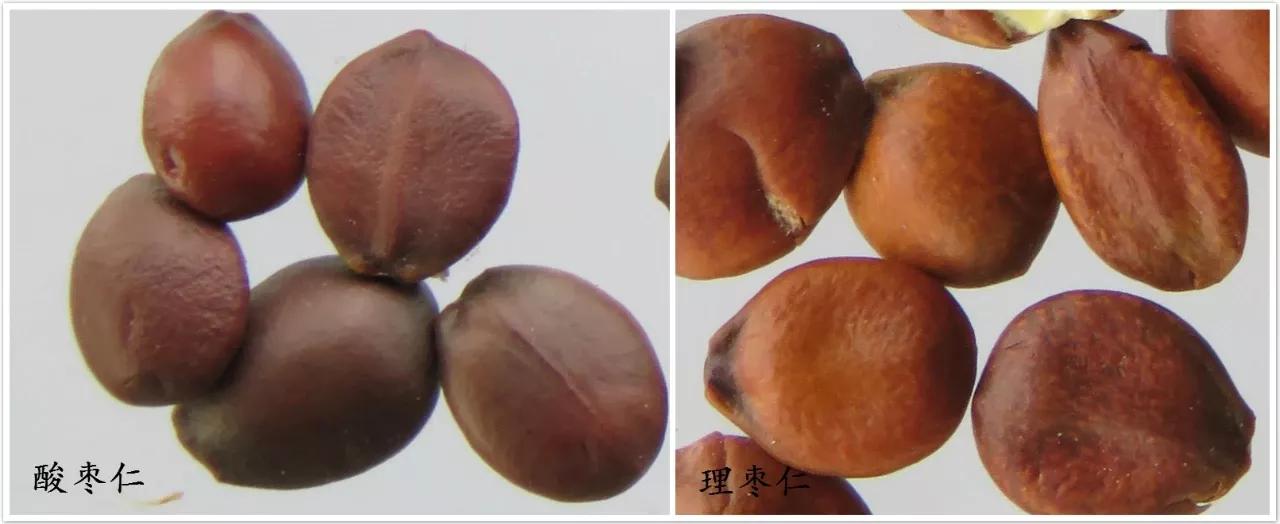 酸枣仁治失眠的药材,酸枣仁治失眠在哪些医书上有记载