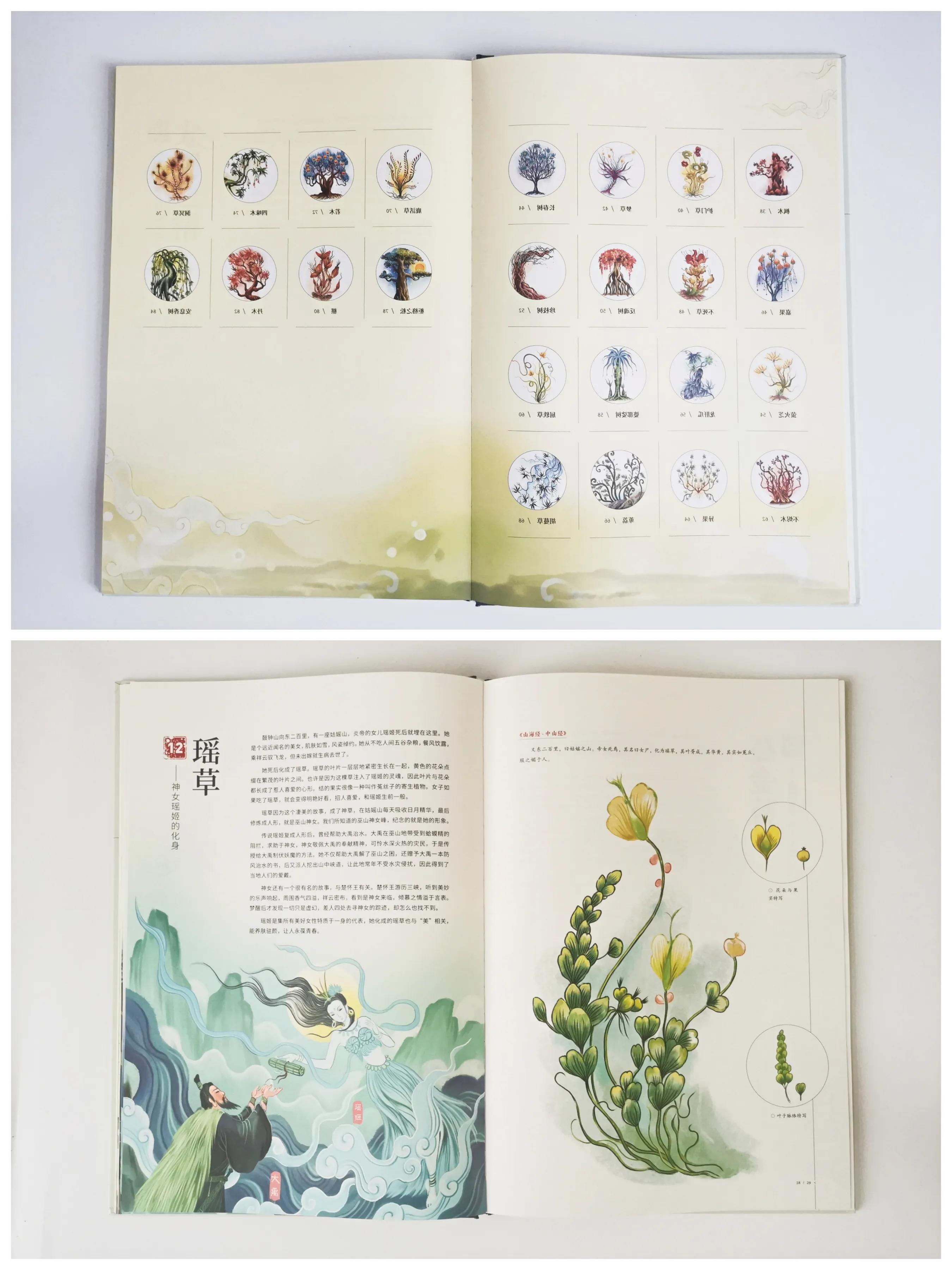 小众高颜值科普绘本,科普类的绘本推荐