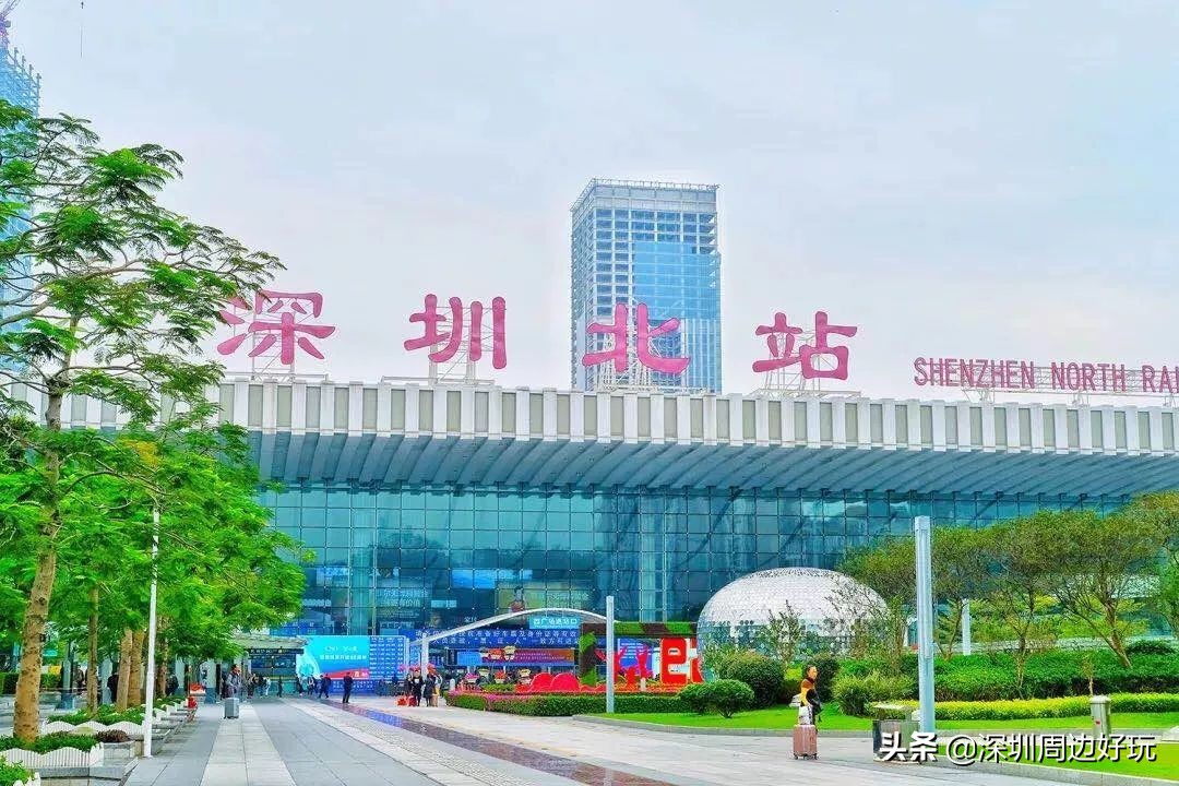 住在深圳各区的人,住在深圳市的人