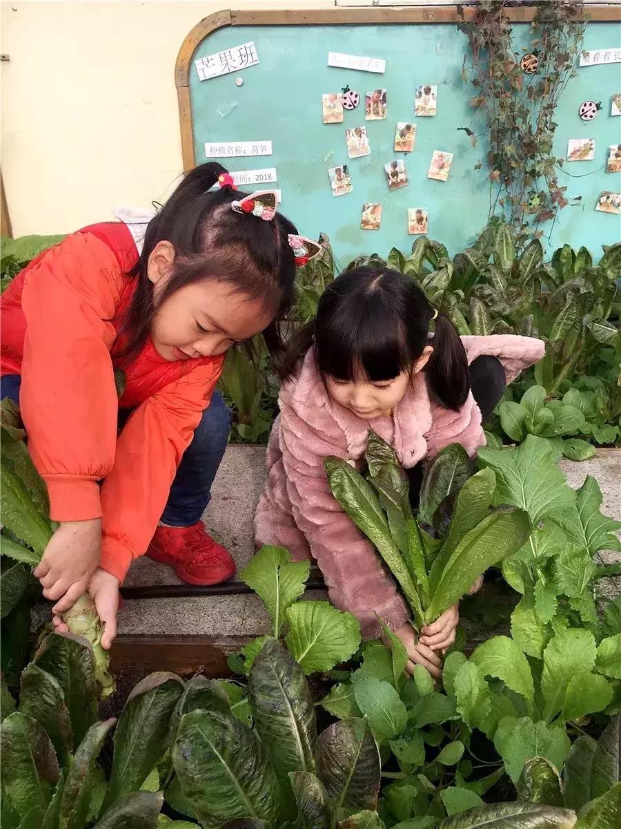 特色幼儿园活动区,高端幼儿园特色活动