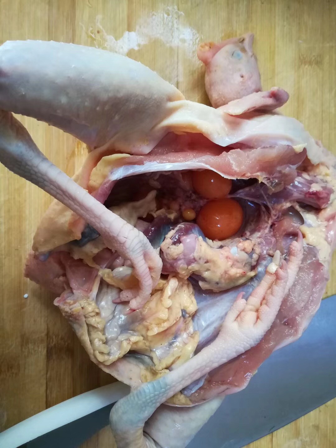 养殖2000只土鸡的成本与利润,养殖土鸡投资知识