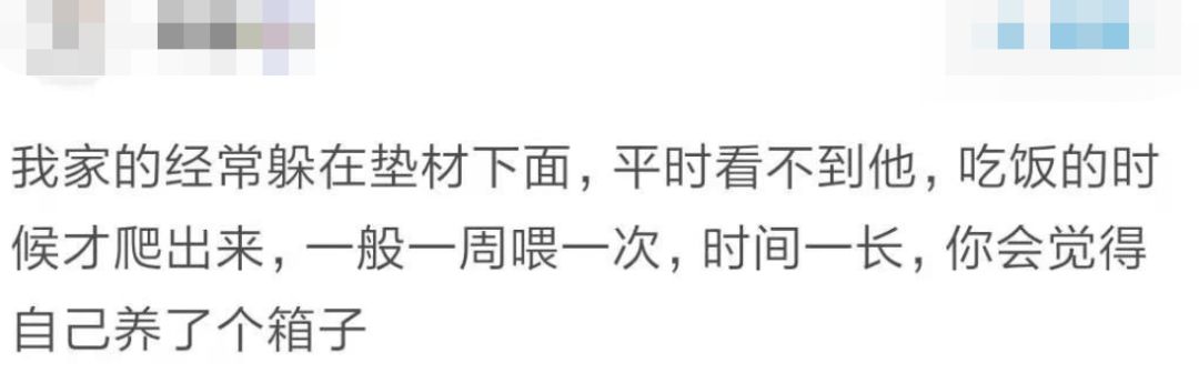 那些年舍友养过的奇葩宠物,你们身边的人都养什么奇怪的宠物