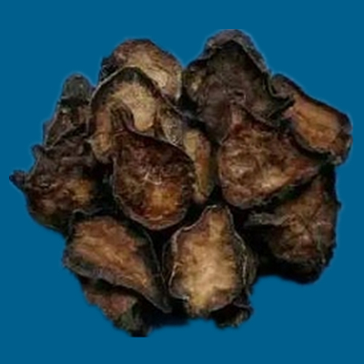 附子的种类图片大全,附子有多少种品种图片