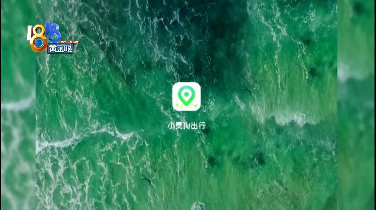 租小灵狗海门,租小灵狗月租费用