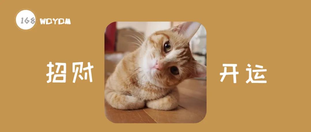 猫咪的胡须掉了是正常现象吗？真的意味着能招财开运吗？