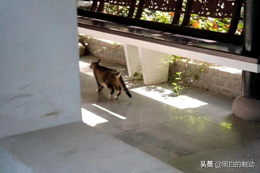 三国遗址公园合肥怎么去,合肥包公祠旅游攻略图