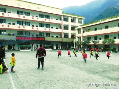 山鹰翱翔蓝天,山鹰展翅视频