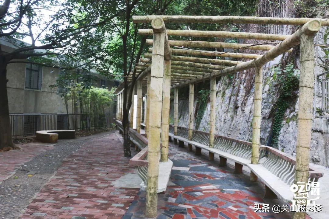 郴州八中在哪里,郴州市八中好不好