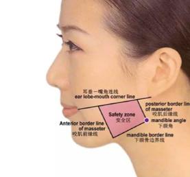 瘦脸针知识科普,科普瘦脸针知识