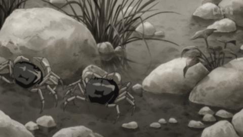 多罗罗动漫最后一集,一口气看完系列动漫多罗罗