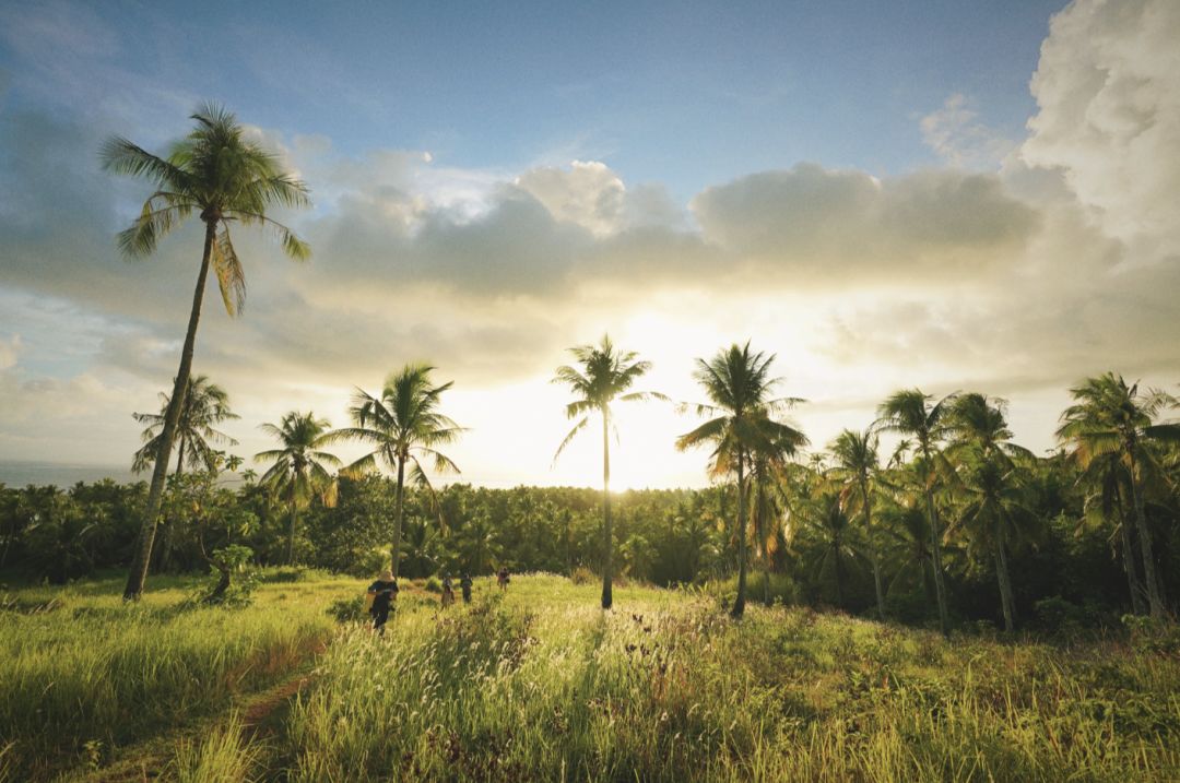 去宿雾攻略,宿雾旅行攻略
