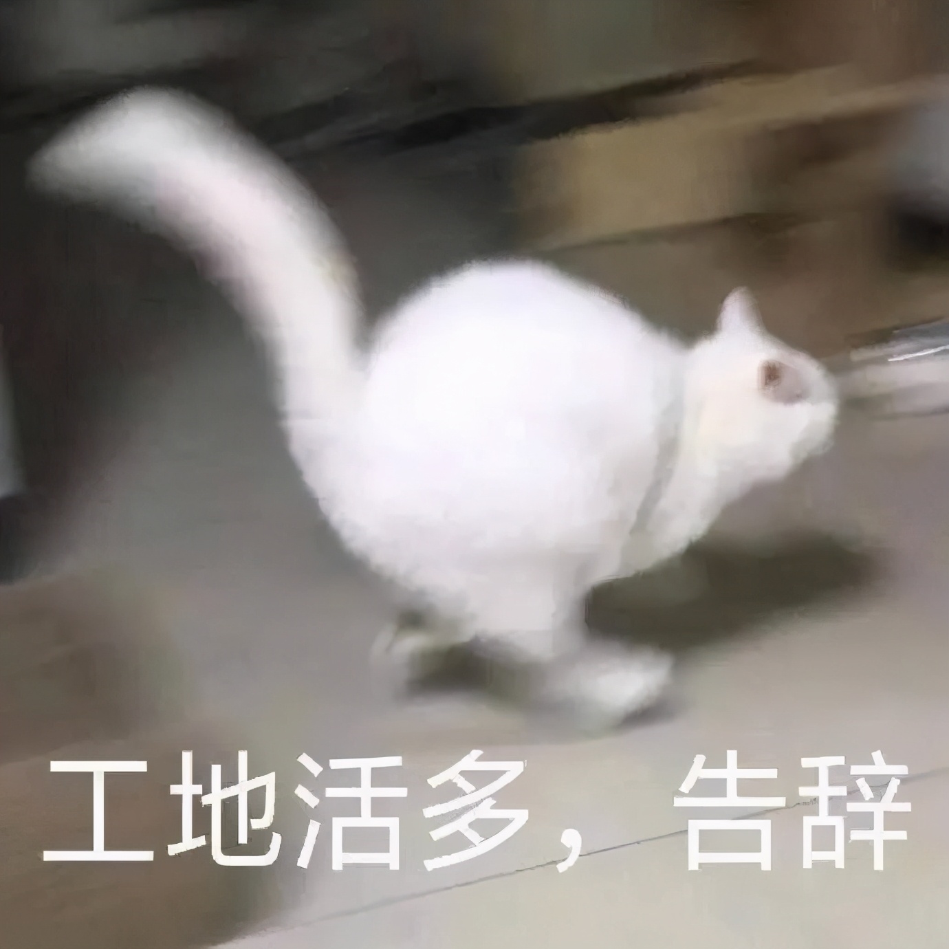 刑事案件公诉二审开庭审理,刑事二审法院不开庭怎么办