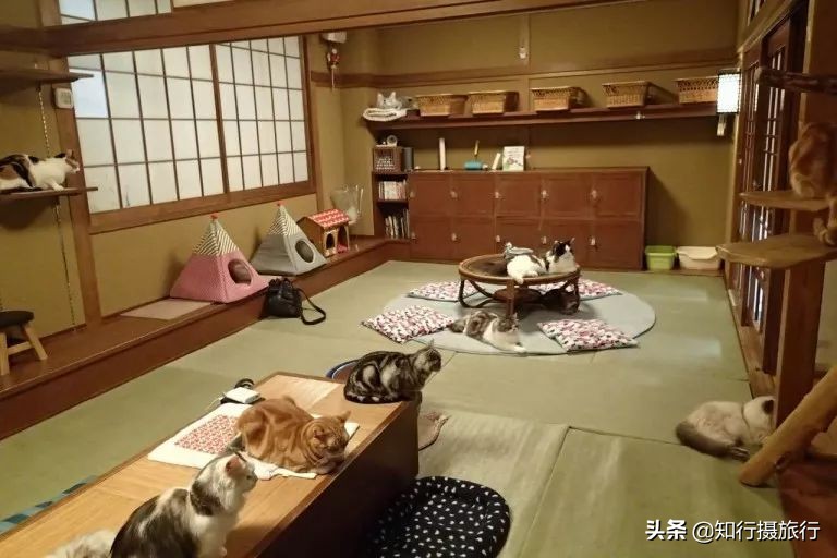 大阪小众景点,去大阪注意事项