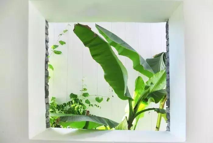 鲁迅刻早字的图片,鲁迅刻早字的故事