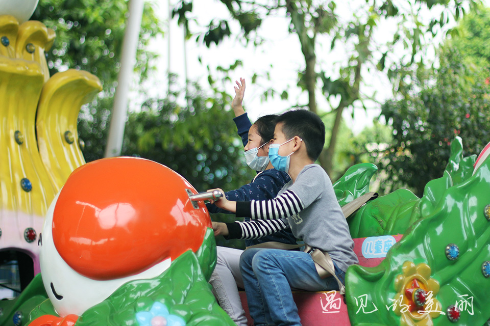 百万葵园有多坑,百万葵园免门票