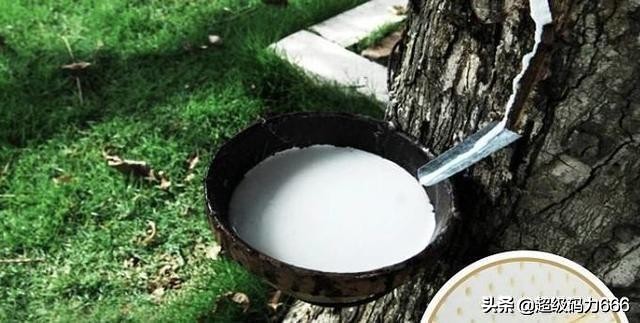 假乳胶枕致癌吗,睡假乳胶枕会头疼么