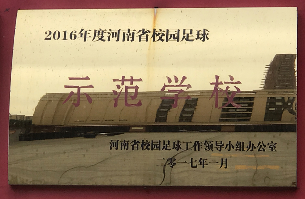驻马店市长杯小学足球比赛视频,驻马店市长杯2024高中组冠军