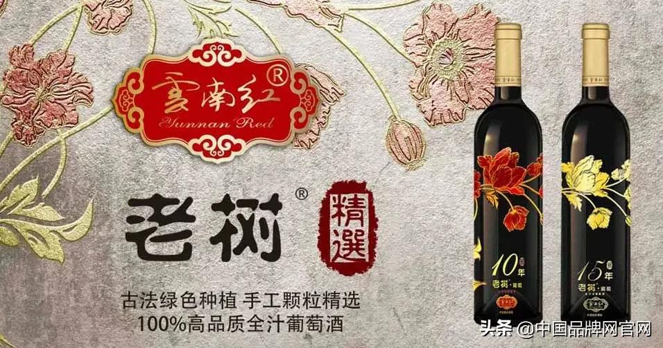 如何买酒最正确,澳洲红酒品牌十大排名
