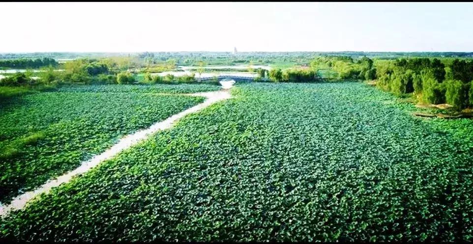 盛夏来感受传统古村落的气息,高青慢城