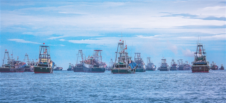 海南海边码头海鲜,海南海鲜开海