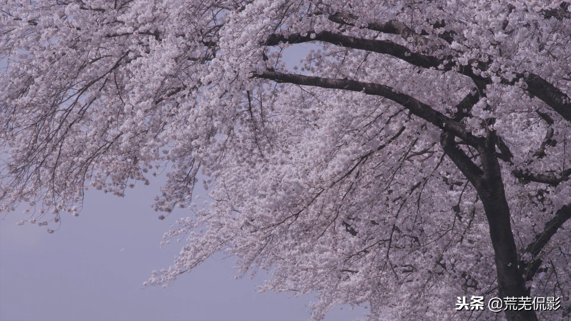 跟着镜头看美景,带你看最美的风光大片