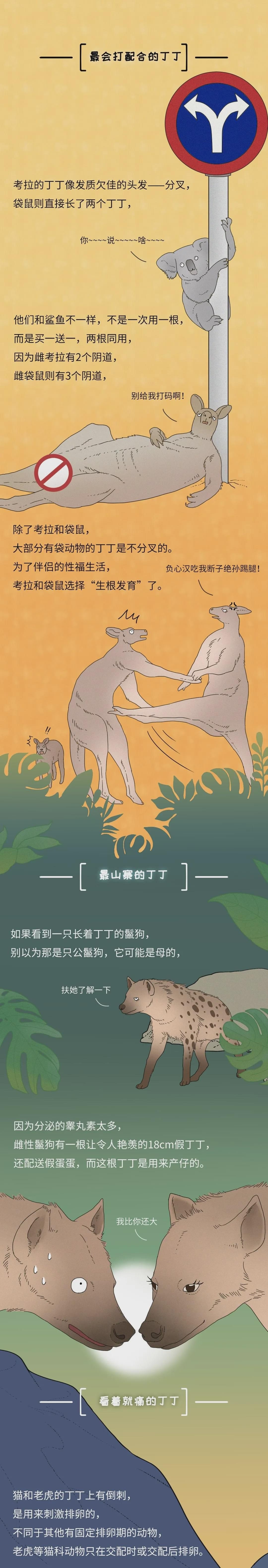 为什么同样是丁丁,差距却这么大?34cm竟然排垫底