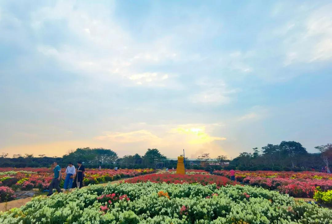 落实习*平近**总书记指示要求·调研记｜城乡融合，再造一个新广东