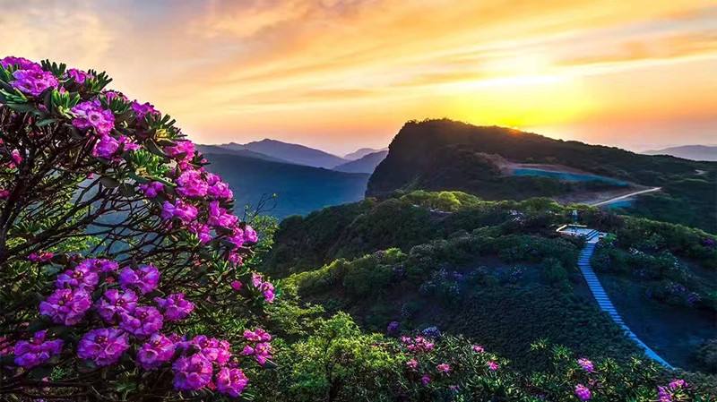 重庆及周边避暑景点,离重庆最近的贵州避暑胜地