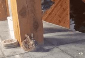 贾玲在沙发上翘二郎腿搞笑图片,贾玲跷二郎腿动图下载