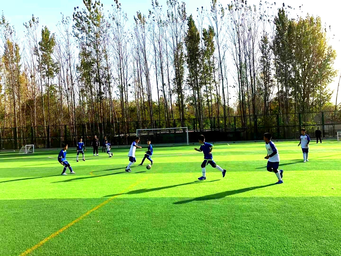 站前区区长杯小学生足球联赛,平顶山市长杯足球联赛小学2019