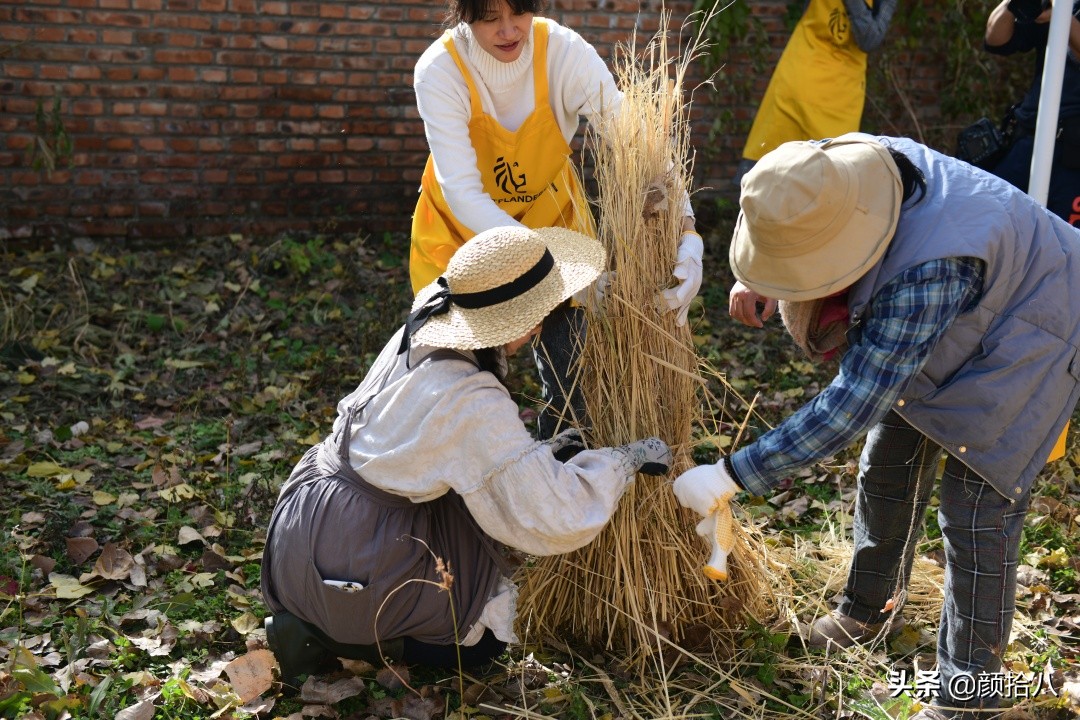 没有比利时花园游，来点比利时啤酒吧|随笔