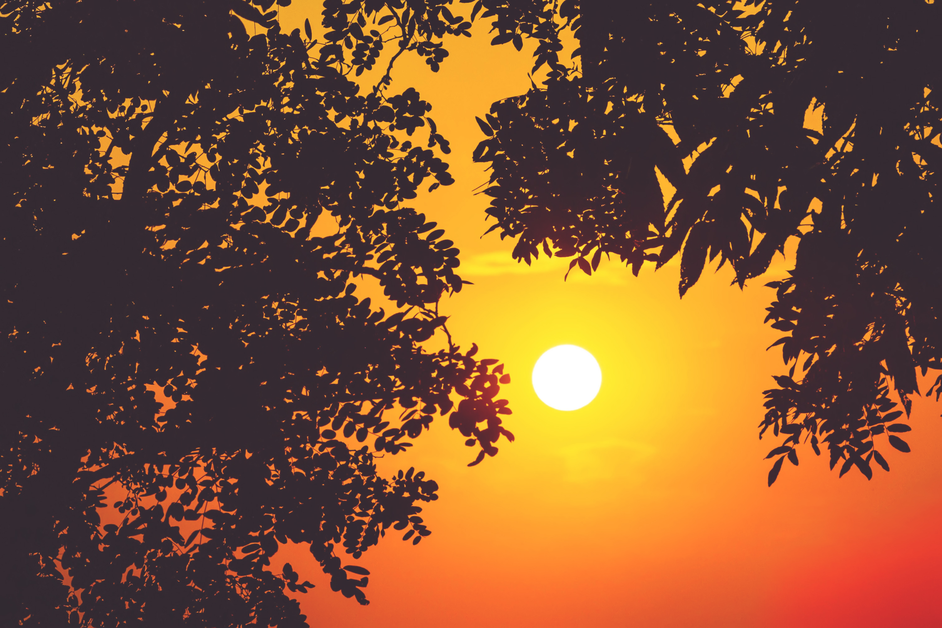 花果山景区的游玩攻略,情侣花果山旅游攻略