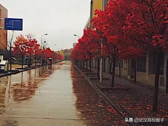全武汉只有这所大学校门上跑火车，以前嫌弃现在却又舍不得