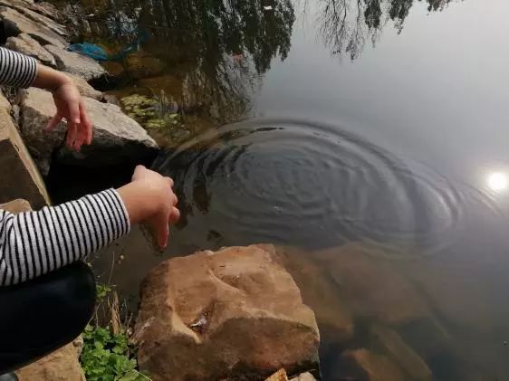 空闲出钓沐暖阳，本汀宗师开光狂拉鲫