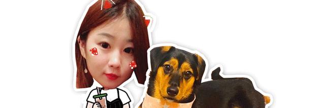 辟谣猫咪蒜瓣毛,猫咪吃狗粮有什么危害