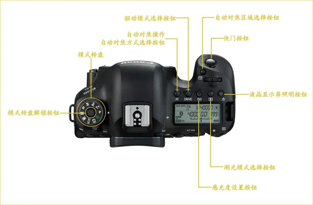 新手入门佳能相机,佳能90d相机