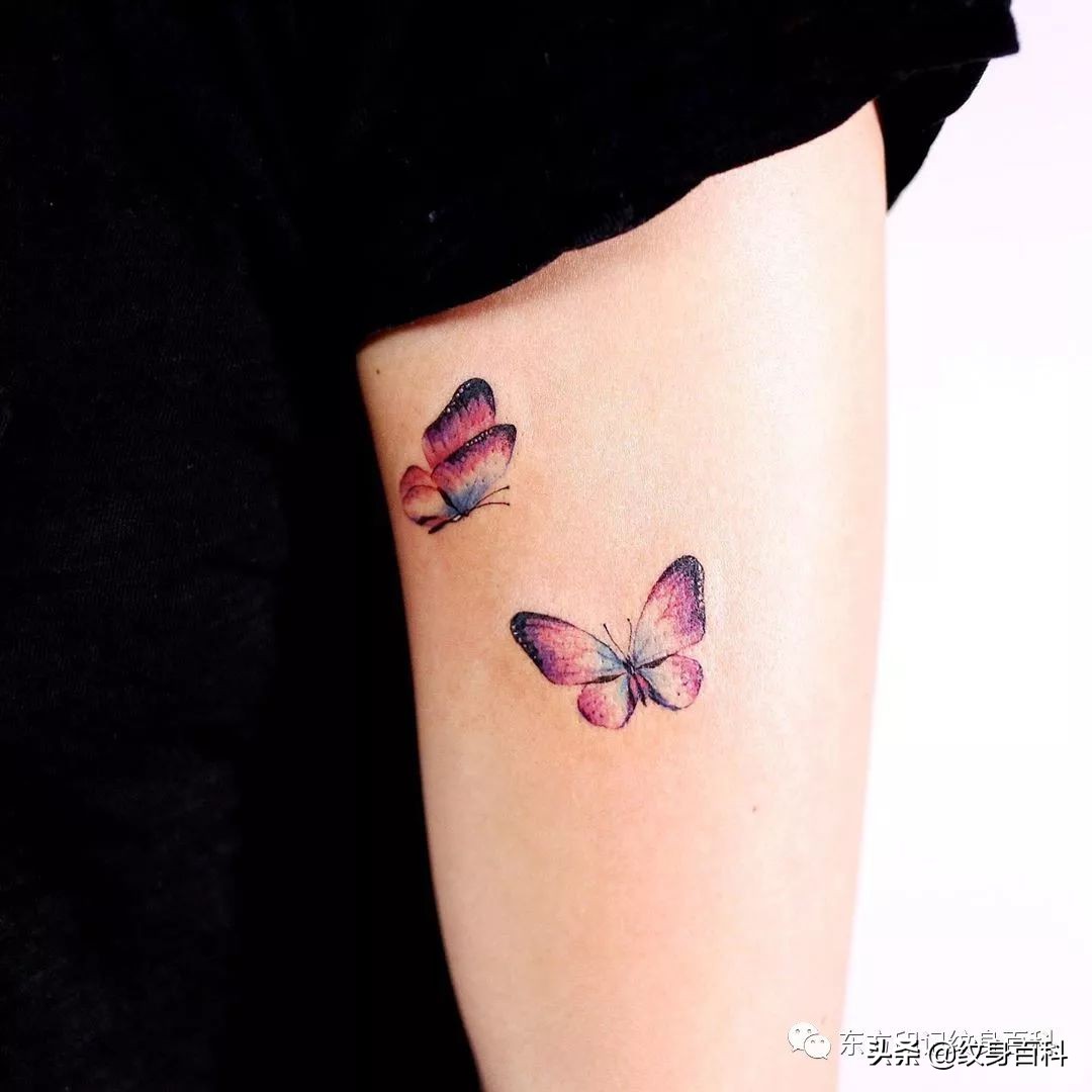 蝴蝶纹身图案代表什么,代表自由的蝴蝶纹身